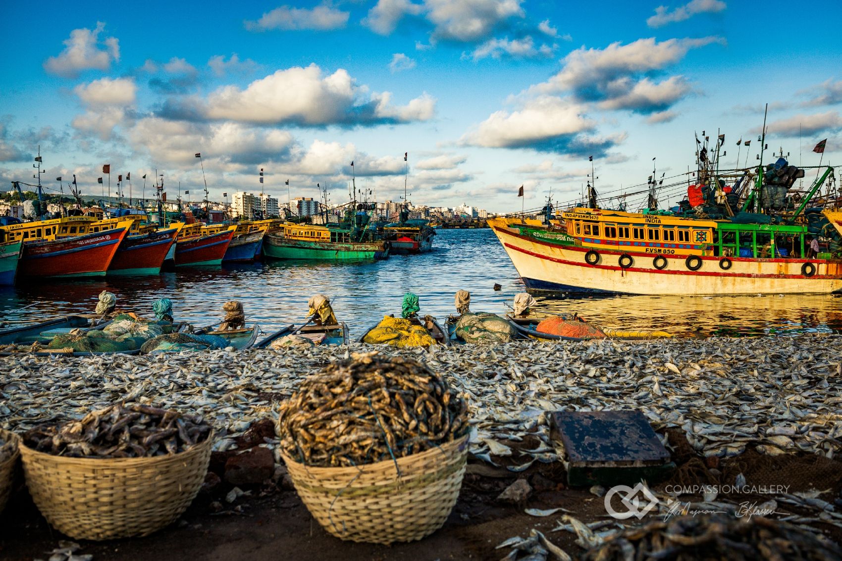 Fishing, Photo Copyright Ray Majoran