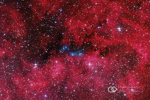NGC 6914: Constellation of Cygnus