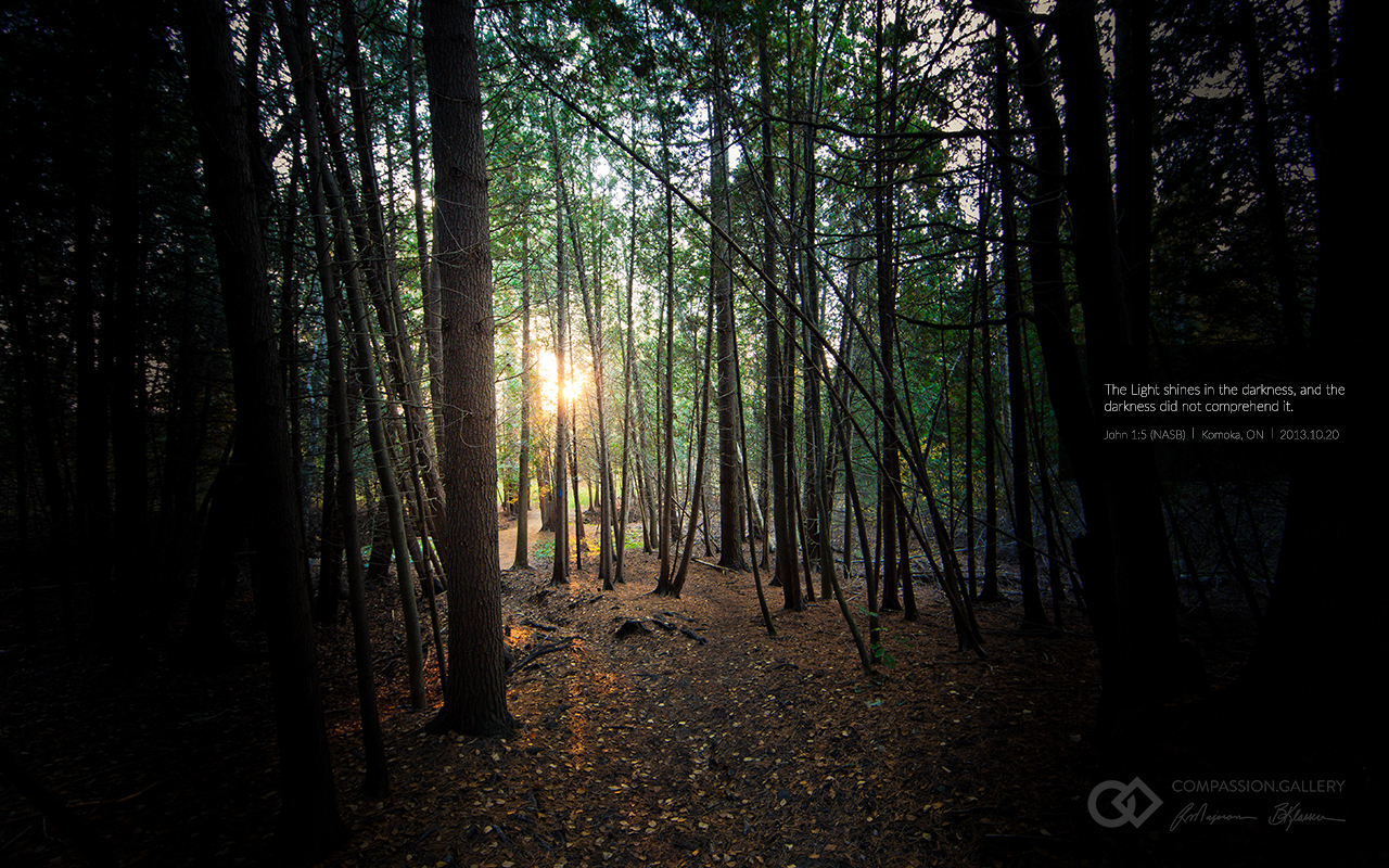 No. 8 - Light in Darkness